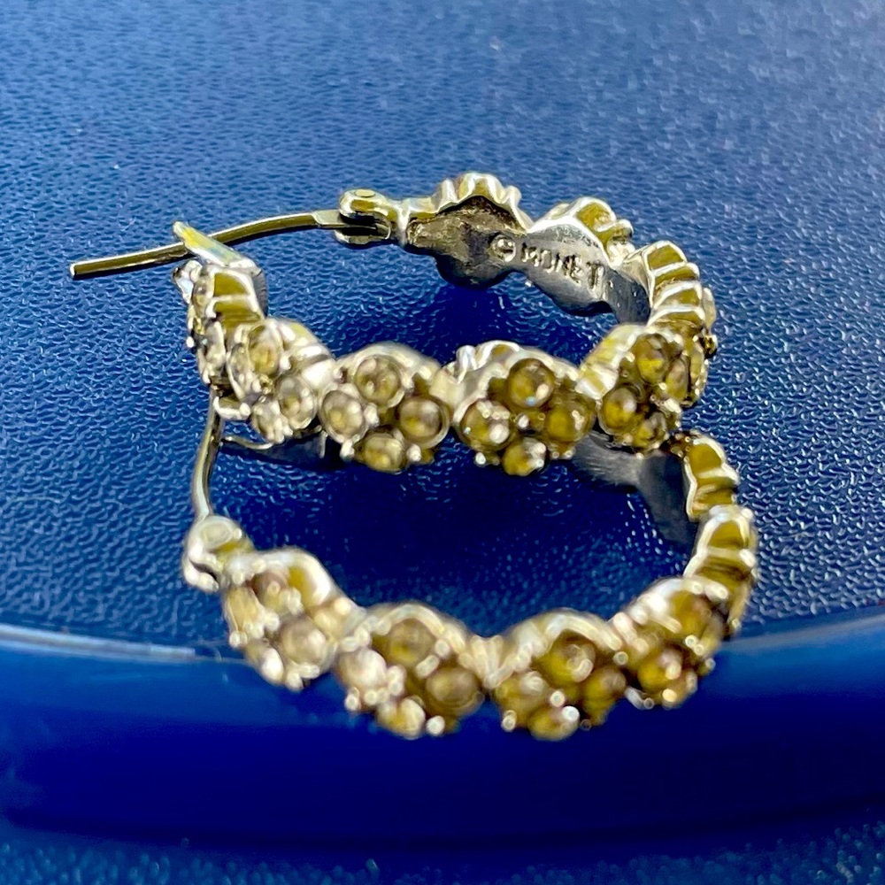 🟣BOGO Monet Hoop Earrings